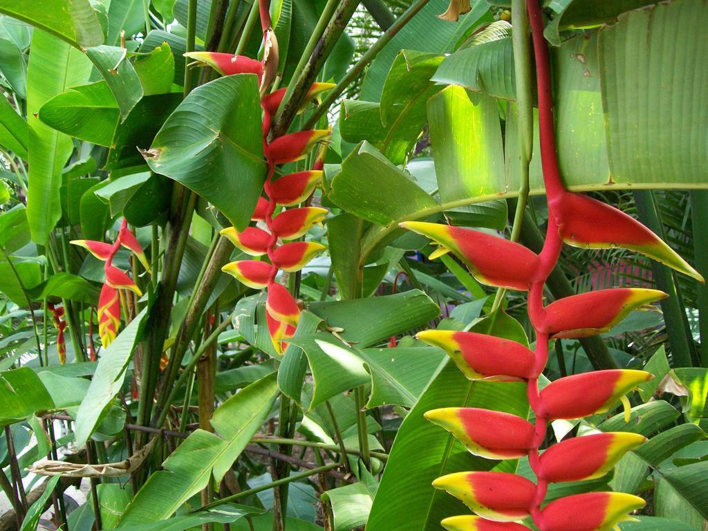 Posada El Jardin Ticul Zewnętrze zdjęcie