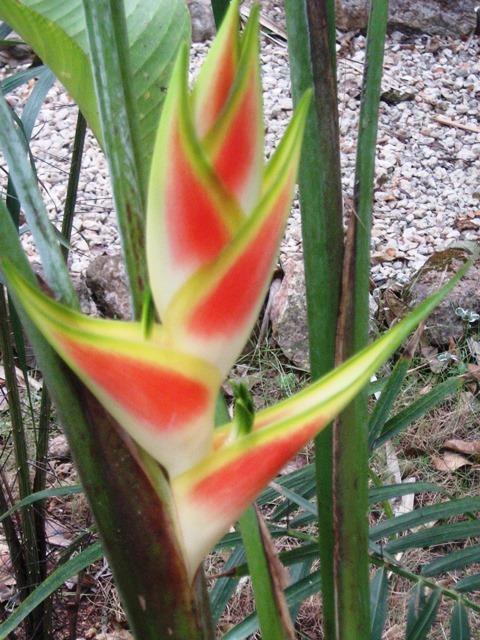 Posada El Jardin Ticul Zewnętrze zdjęcie