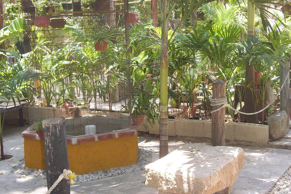 Posada El Jardin Ticul Zewnętrze zdjęcie