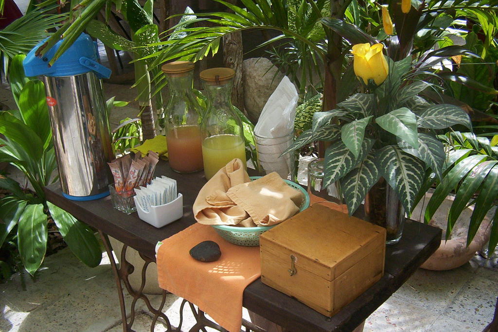 Posada El Jardin Ticul Zewnętrze zdjęcie